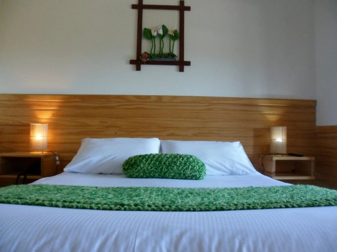 Superior Double room with view