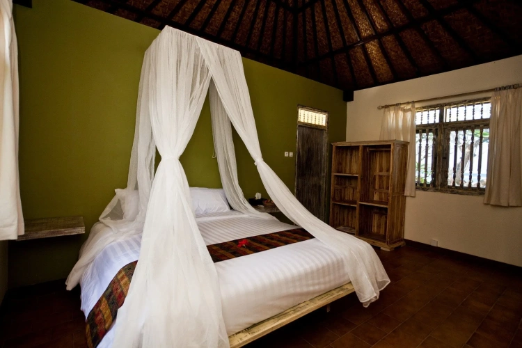 Deluxe Double room with balcony and with view