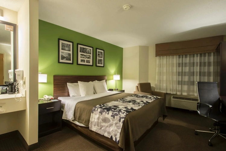 Standard Double room