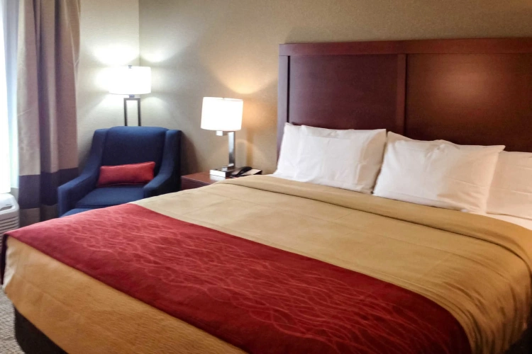 Standard Double room