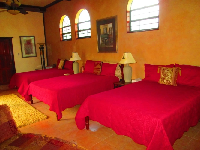 Premier Suite