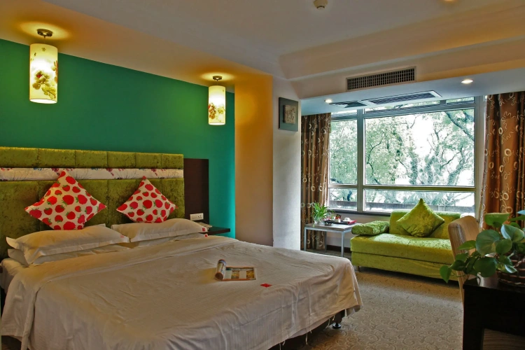Standard Double room with river view