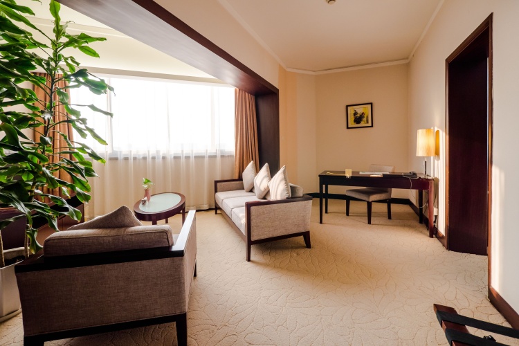 Executive Single Suite