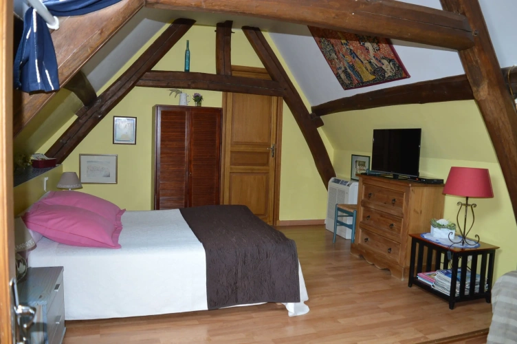 Standard Double room with garden view