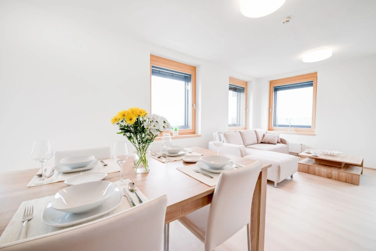 1 Bedroom Comfort Apartment