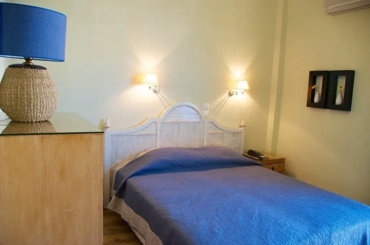 Standard Double room with garden view
