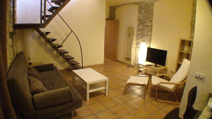 Standard Duplex Apartment