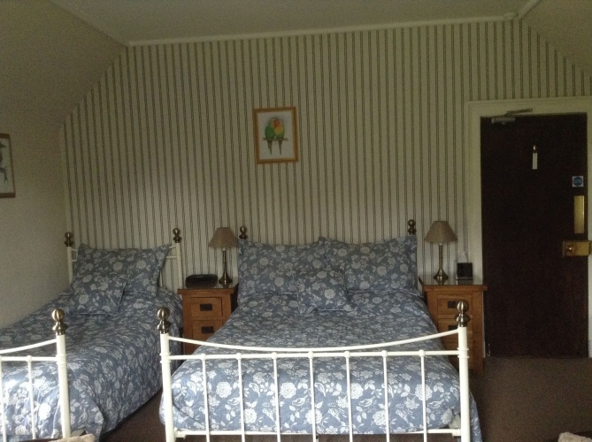 Standard Double Basement room