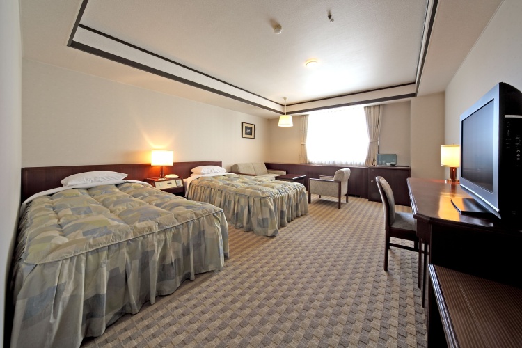 Standard Twin room with city view