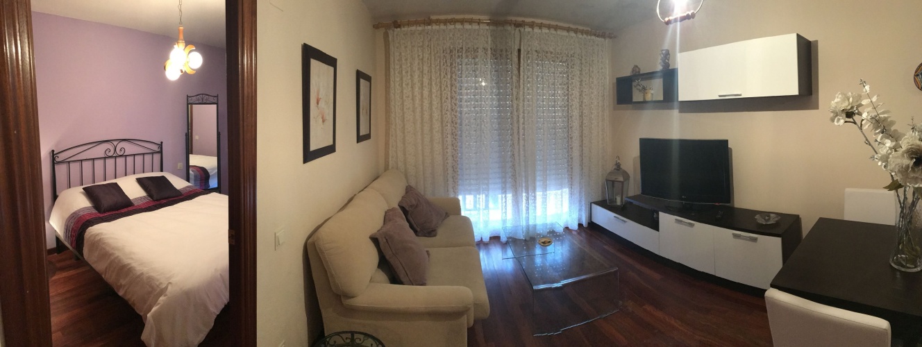 1 Bedroom Apartment