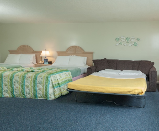 Deluxe Family room