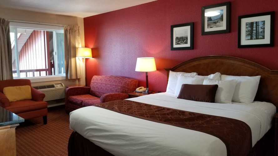 1 Bedroom Deluxe Apartment