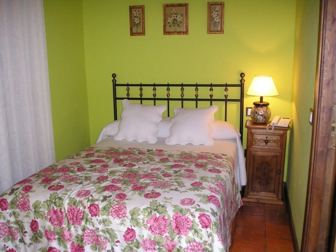 Standard Double room with balcony and with view