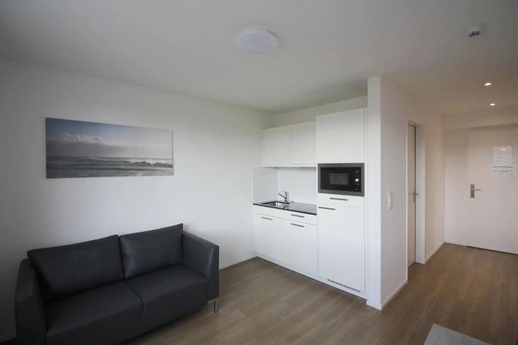 1 Bedroom Suite