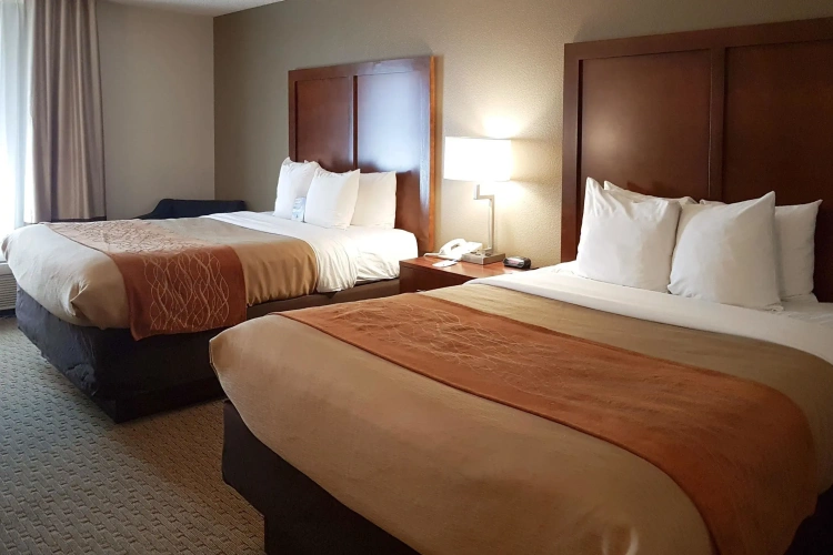 Standard Quadruple room