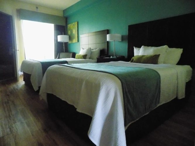 Suite