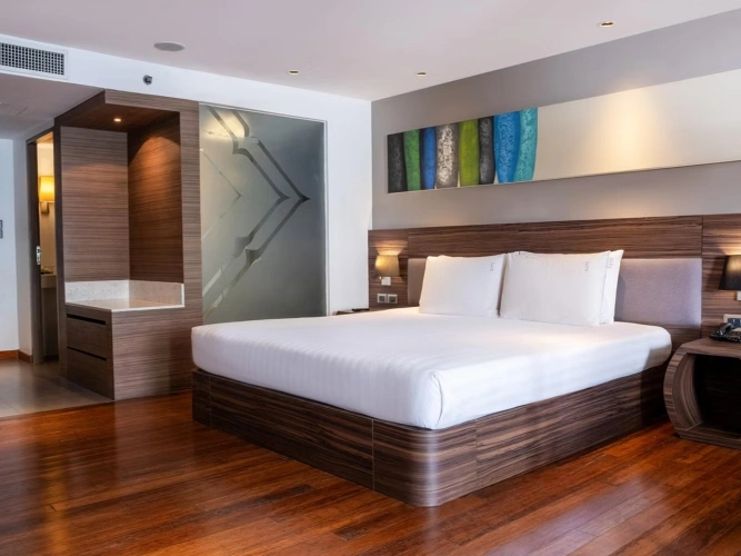 Standard Central Building Plunge Pool Double room