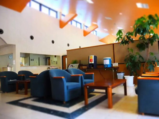 Azalea Chiyoda