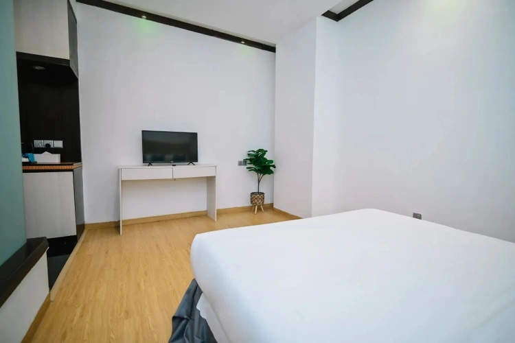 Standard (No window) Double room