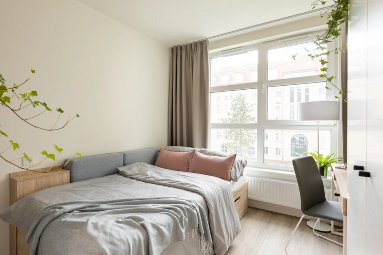 Standard Apartment