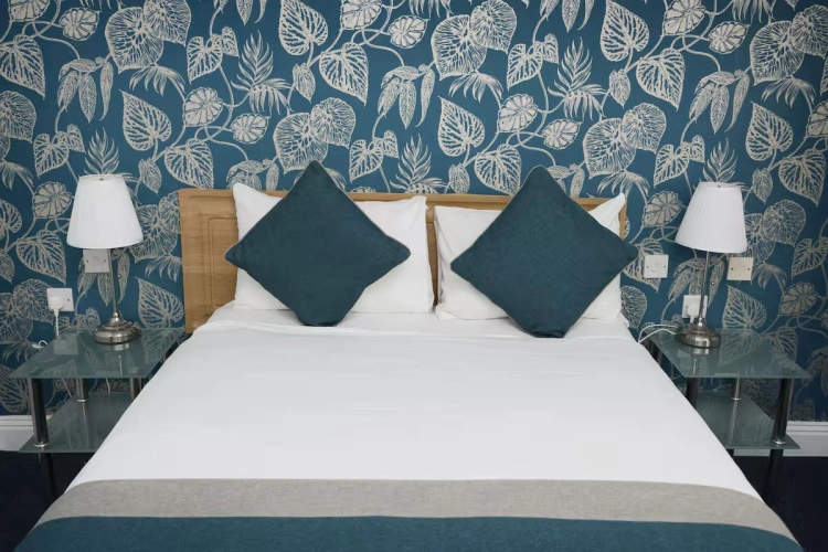 Budget (No Window) Double room