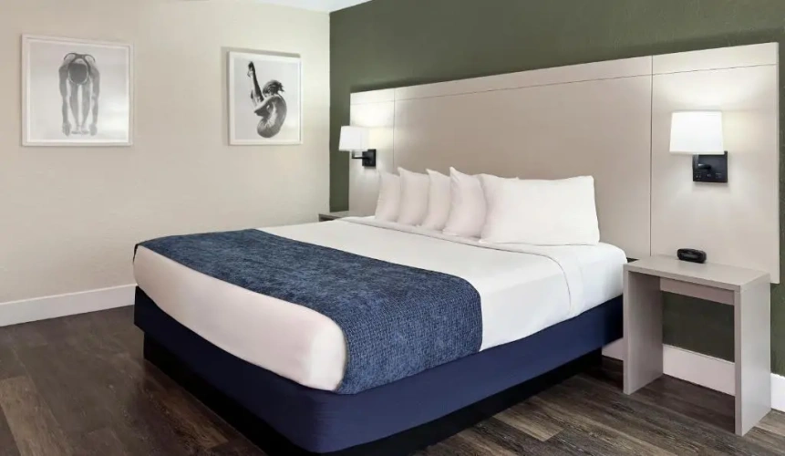 Standard Double room