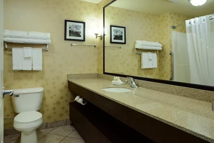 Holiday Inn Lethbridge photo 9