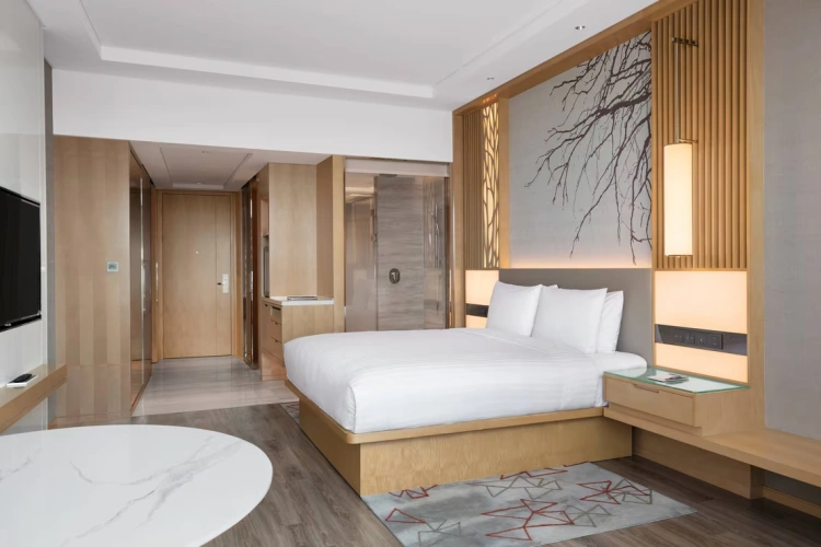 Guest Executive Lounge Access Double room