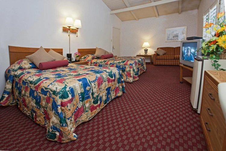 Twin Family Suite