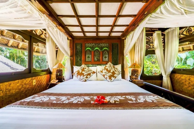 Superior Double Suite
