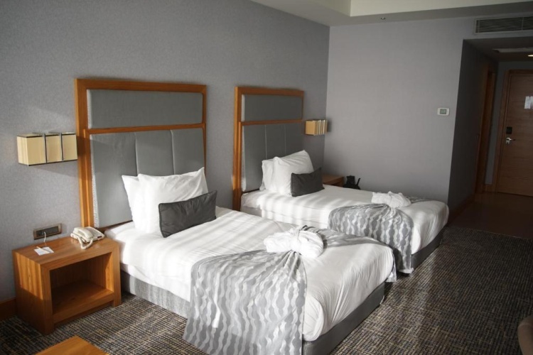 Standard French Double room with garden view