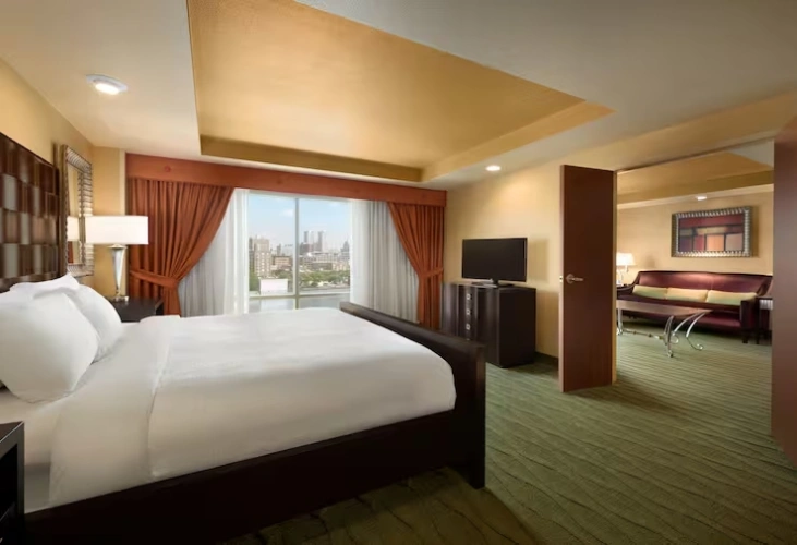 Presidential Double Suite