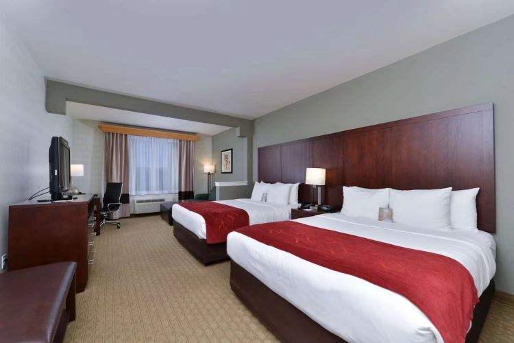Twin Suite