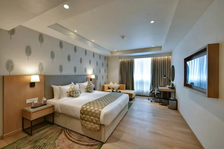 Fern Classic Suite
