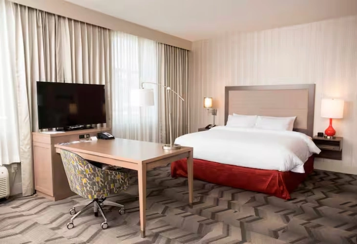 Double Studio Suite