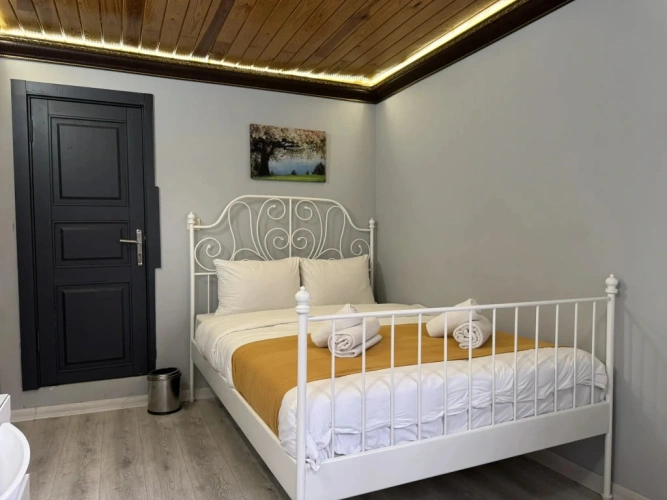 Standard Double room with park view