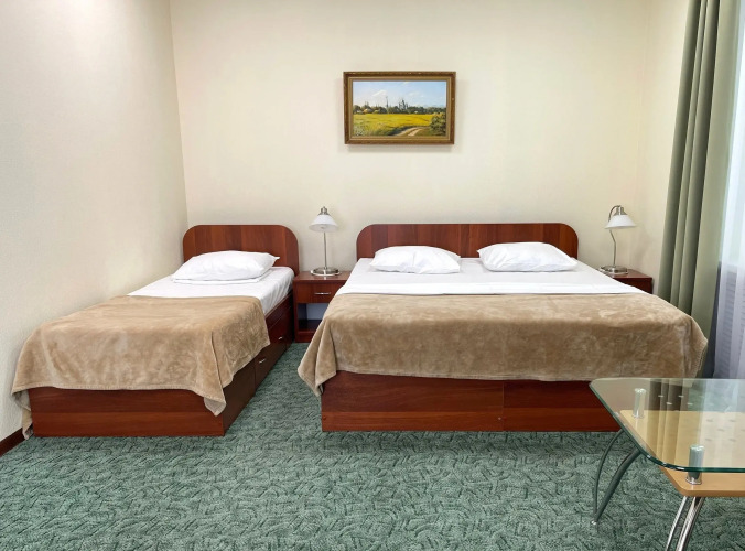 Фотография номера гостиницы Аэро-Отель