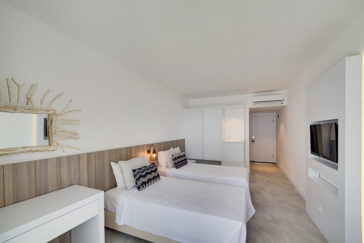 Standard Double room with garden view