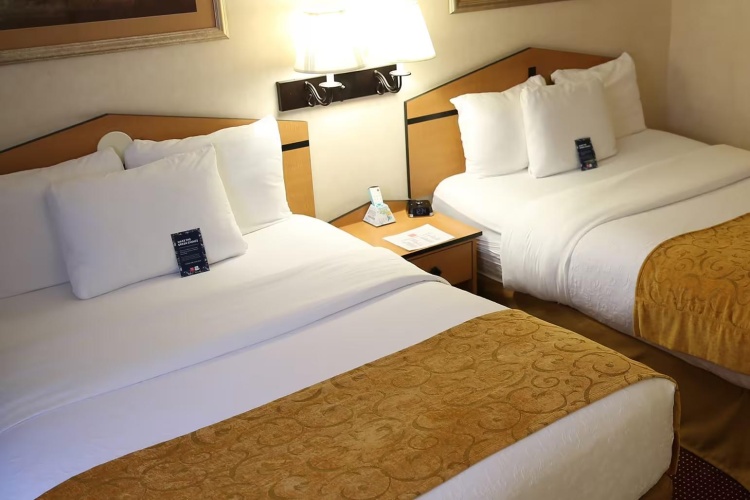 Quadruple Suite