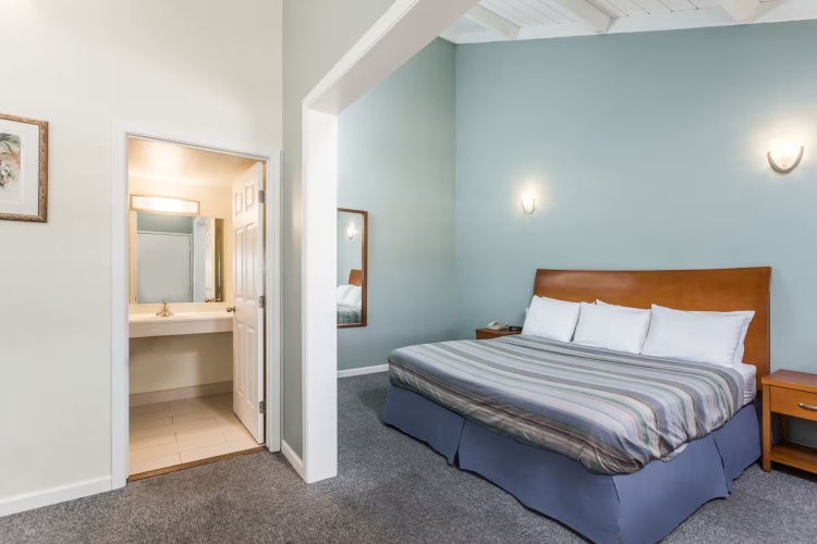 Double Studio Suite