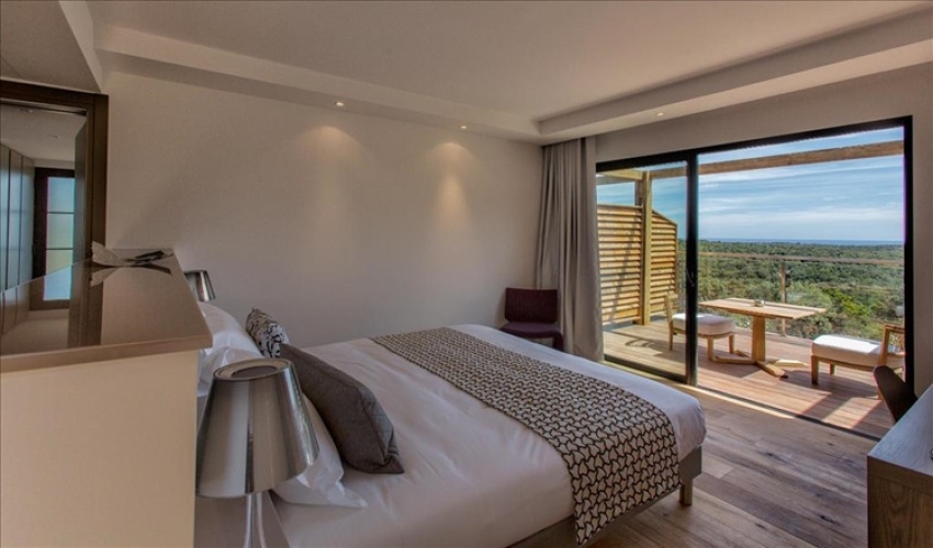 Deluxe Double room