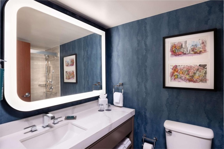 DoubleTree by Hilton Houston Medical Center Hotel & Suites photo 11