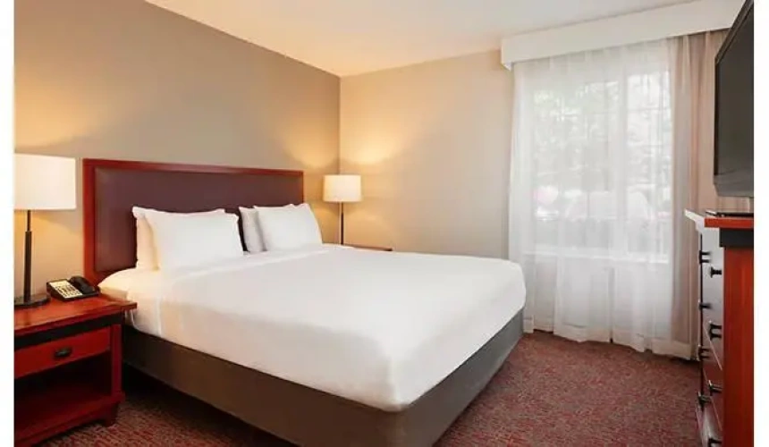 1 Bedroom Double Suite