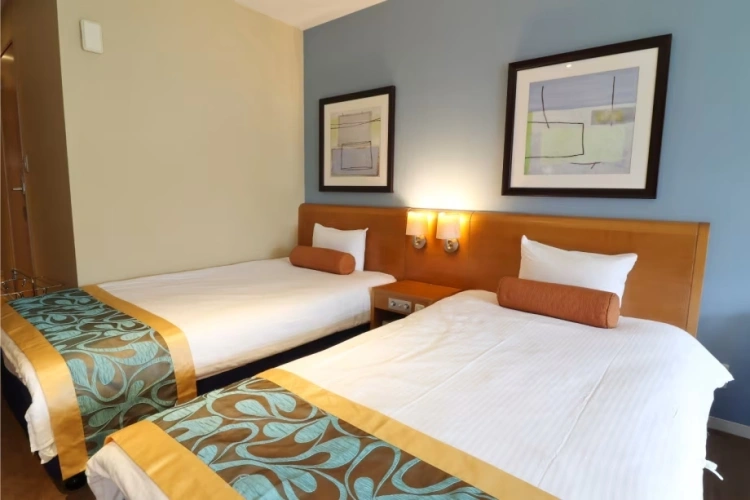 Superior Twin Western Style room