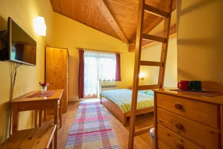 With a Ladder Double room