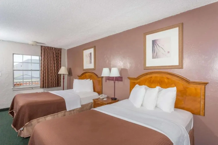 Twin room