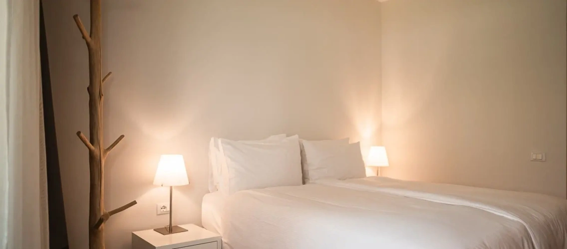 Basic Double room