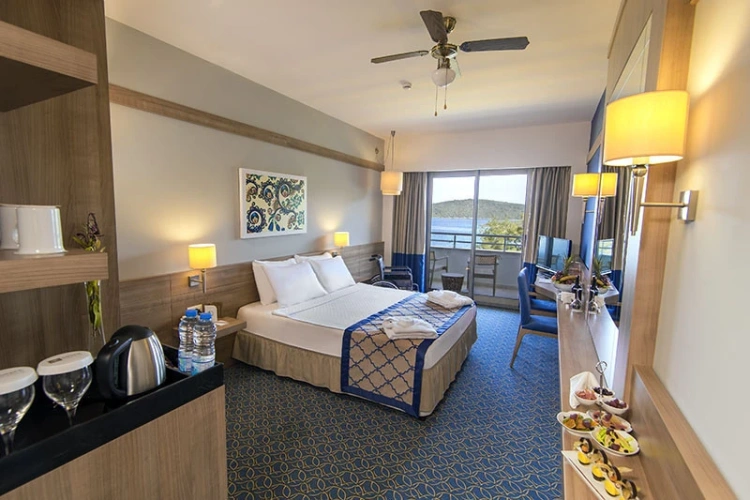 Disabled Double room