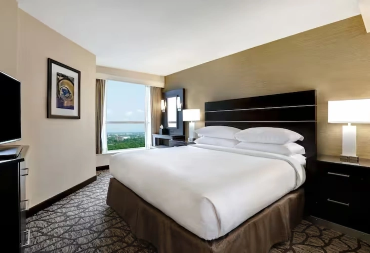 Double Suite with city view
