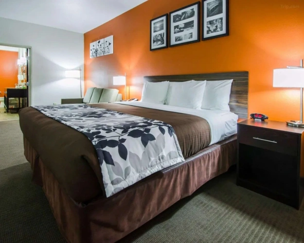 1 Room with Sofa Bed Double Suite
